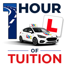 Single Hour Lesson